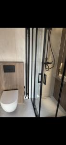 a bathroom with a white toilet and a shower at Domek BrzozoweLove in Szczodrowo +35 photos