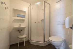 a bathroom with a shower and a toilet and a sink at Luise Wehrenfennig & Haus EvA in Bad Goisern +54 photos