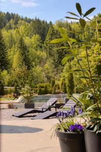 a park with benches and purple flowers and trees at Dom i Las in Brenna
