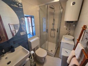a bathroom with a shower and a toilet and a sink at Apartment Borna in Baška +22 photos