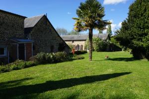 a palm tree in a yard next to a house at Le Petit Lustucru in Saint-Martin-des-Champs +16 photos