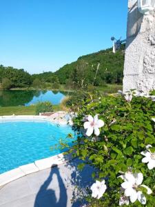 a shadow of a person standing next to a swimming pool at L isaro in Anthé