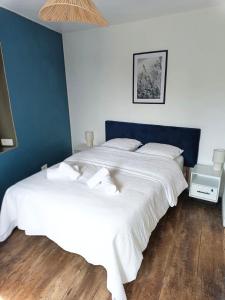 two beds in a bedroom with blue walls and wooden floors at Maison les Alouettes in Nevers