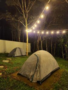 two tents in a field at night with lights at CoffeeLand in Padinjarathara