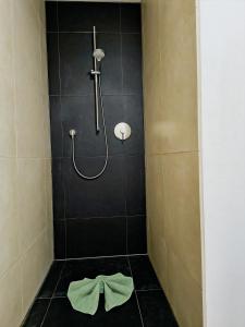 a bathroom with a shower with a bow tie on the floor at Villa in Meisenheim +12 photos