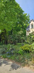 a garden with blue flowers in front of a house at Chambres d'hôtes Les Chênes in Acigné