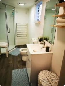 a bathroom with a sink and a shower and a toilet at Tiki Hut in Tauranga