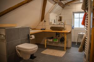 a bathroom with a toilet and a sink at Ferienhaus Sonne in Jiříkov +17 photos