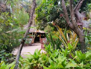 a garden with a building in the background with green plants at Shashamani Écolodge Abéné Kafountine in Diana