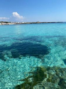 a large body of blue water with reefs at Al centro con panorama Favignana Isole Egadi in Favignana
