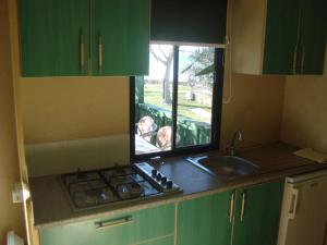 Kuchyň nebo kuchyňský kout v ubytování Mobile Homes Vila Punta