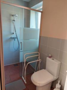 a bathroom with a shower and a toilet in it at Gîte Rabanier in Saint-Ciers-dʼAbzac