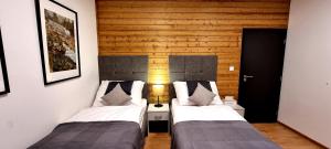two beds in a room with wooden walls at Monte Amnis Apartment in Štrbské Pleso