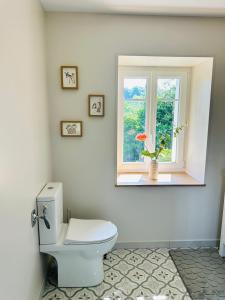 a bathroom with a toilet and a window at La maisonnette du Morvan in Cussy-en-Morvan +6 photos