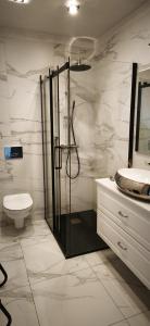 a bathroom with a shower and a toilet and a sink at Apartament Polli in Grudziądz +44 photos