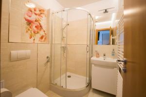 a bathroom with a shower and a toilet and a sink at Apartmany U Jezka in Ždiar +24 photos