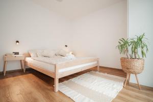 a bed in a room with a potted plant at Domeček U Potoka in České Budějovice