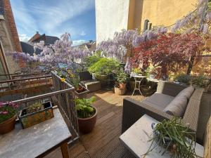 ein Balkon mit vielen Topfpflanzen an einem Gebäude in der Unterkunft Lunatree in Mechelen