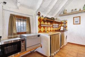 a kitchen with a sink and a refrigerator at La Barraca den Salvador in Deltebre