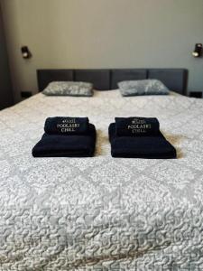 two pillows sitting on top of a bed at Podlaski Chill in Przejma Wielka