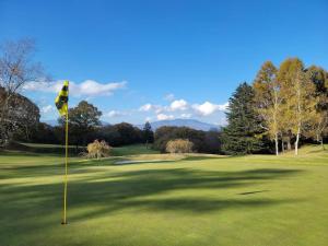 a golf course with a flag on the green at 摩天轮下的森 in Tsumagoi