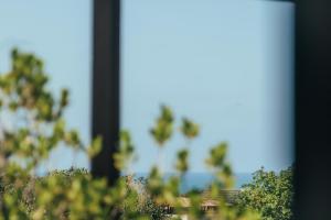 a blurry picture of trees in the background at Pipa Panorama Flats&Apartamentos in Pipa