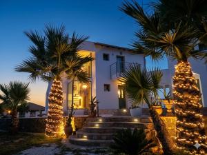a house with palm trees decorated with christmas lights at Villa Freebird - VIP Wedding & Bachelor Events in Pefkochori