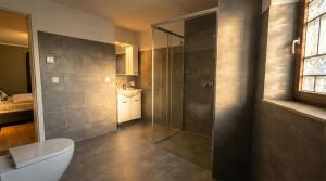 a bathroom with a shower and a toilet and a sink at GT Nord Hof in Müllenbach +12 photos