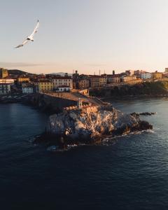 an airplane is flying over a small island in the water at New Apartment Piombino wifi parking in Piombino