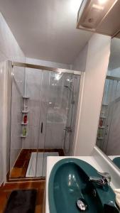 a bathroom with a green sink and a shower at Chalet chateau verdun in Château-Verdun