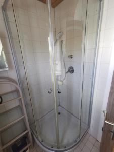 a shower with a glass door in a bathroom at Schöne Ferienwohnung Wetzlar in Wetzlar +8 photos