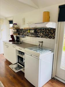 a kitchen with a sink and a counter top at Tiny house Schoorl Bergen NH in Warmenhuizen
