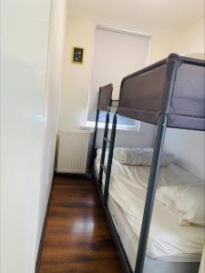 a bedroom with two bunk beds in a room at Tiny house Schoorl Bergen NH in Warmenhuizen +18 photos
