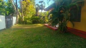 a house with a palm tree in the yard at Aqua Dream Adventures Resort in Trincomalee +5 photos