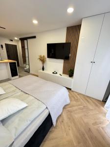 a bedroom with a large bed and a flat screen tv at Apartament w Centrum Tarnowa Lwowska in Tarnów