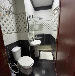 a small bathroom with a toilet and a sink at Grand Elite Hotel in Cairo