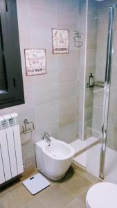 a bathroom with a shower and a toilet and a sink at El Rincón del Ángel in Jaca