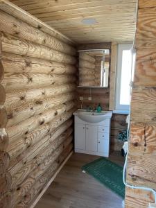 a bathroom with a sink and a wooden wall at Miško sodyba in Gedvainiai +15 photos