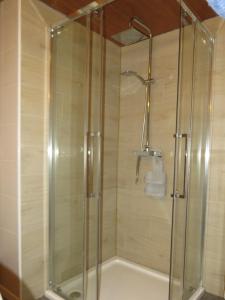 a shower with a glass door in a bathroom at Ferienwohnung Birgit in Sankt Gallenkirch