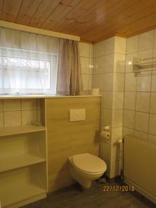 a small bathroom with a toilet and a window at Ferienwohnung Birgit in Sankt Gallenkirch