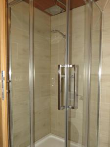 a shower with a glass door in a bathroom at Ferienwohnung Birgit in Sankt Gallenkirch +16 photos
