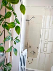 a bathroom with a shower with a radiator in it at Casa Salento Diso in Diso +17 photos