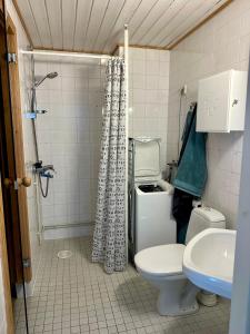 a bathroom with a shower and a toilet and a sink at Pohjankaira in Rovaniemi +1 photo