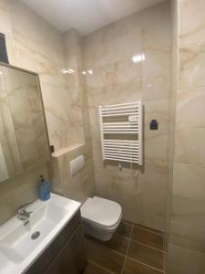 a bathroom with a toilet and a sink and a mirror at Unin Apartman, Kosmaj Renew, Rogača in Rogača