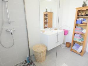 a bathroom with a shower and a sink and a mirror at Le gîte de la battère in Saubusse +22 photos