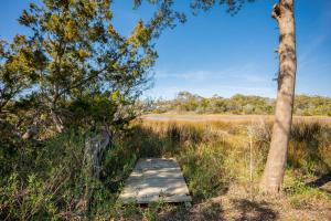 a wooden boardwalk in a field with trees at Beach 45 by Oak Island Accommodations in Oak Island