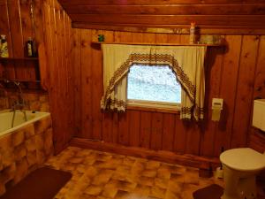 ビストシツァ・クウォツカにあるAgrowczasy Góry Bystrzyckieのバスルーム(窓、トイレ、バスタブ付)
