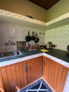 a kitchen with wooden cabinets and a sink at Nature Nest in Manāli +18 photos