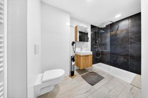 a bathroom with a toilet and a sink and a shower at Schinagl Klaus in Klaus an der Pyhrnbahn +12 photos