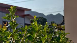 a green bush in front of a building with mountains in the background at ยินดีรีสอร์ท Yindee Resort in Don Sak